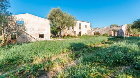 Photo 5 of Country house for sale in Cristo Rey - Parque Europa, Inca