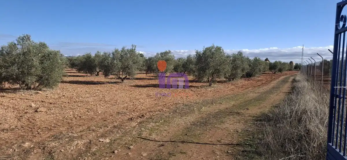 Casa rústica en venda a Valdepeñas, imagen 22