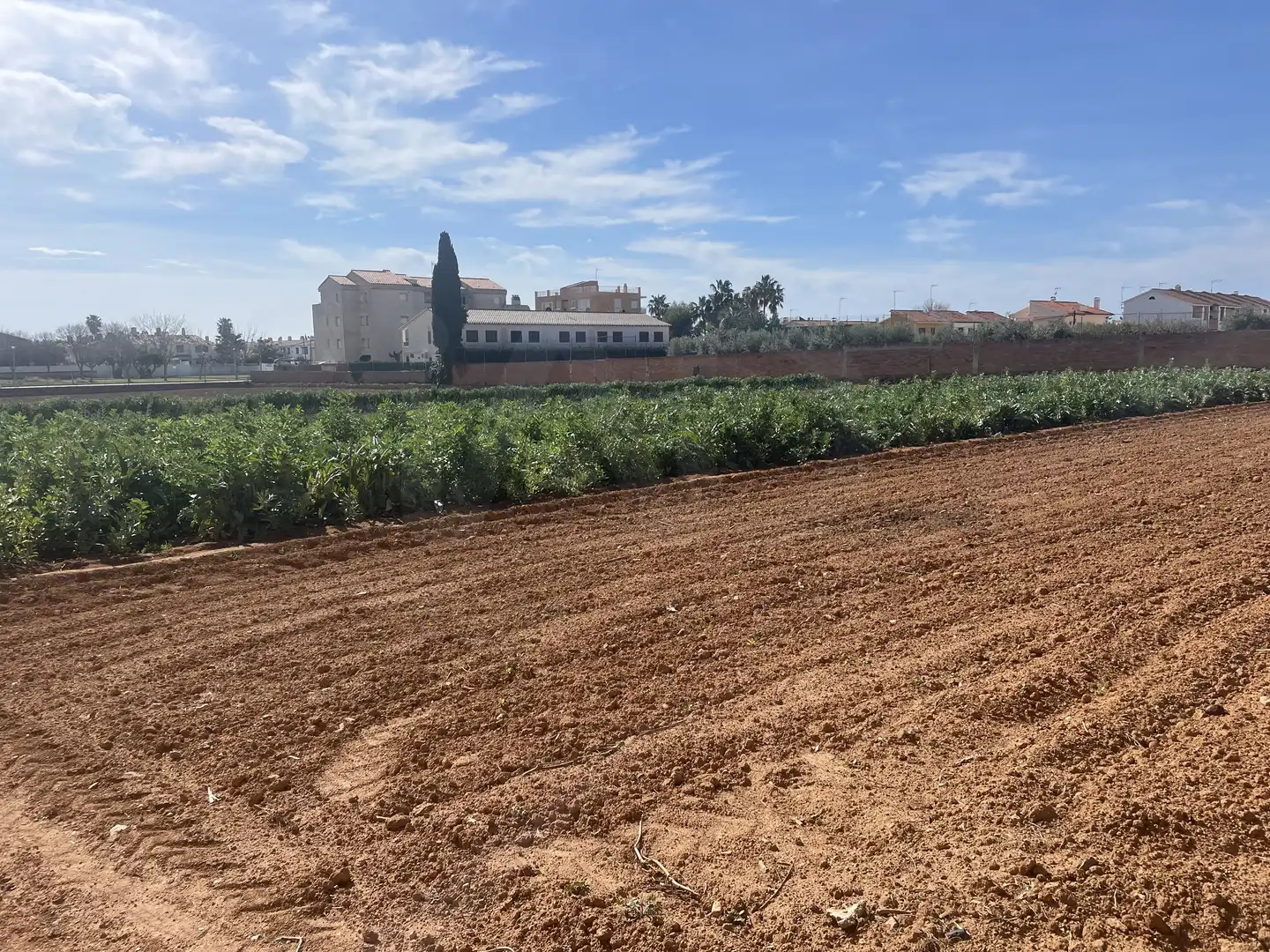 Residential land for sale in Marítima Sud, imagen 3