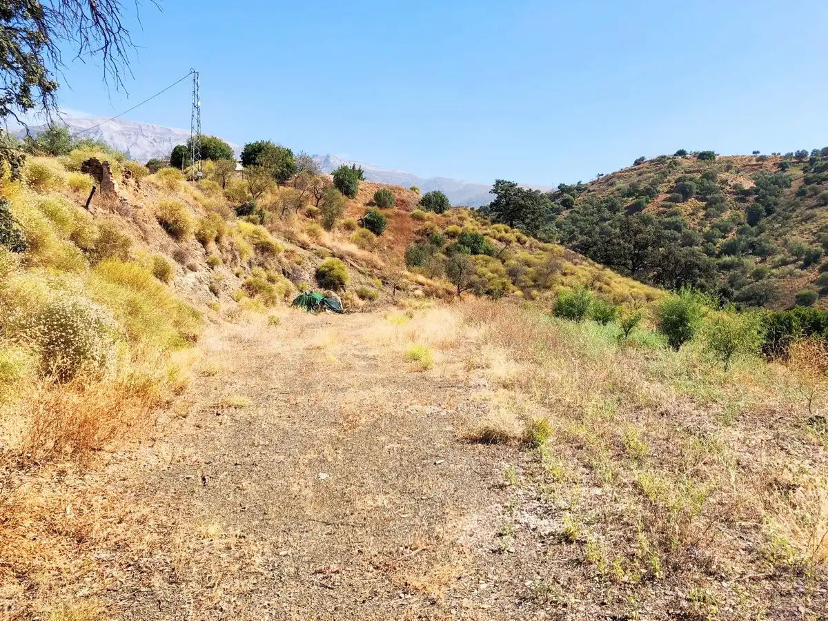 Terrenos y solares en venta en Sedella