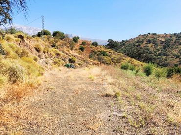 Terrenos y solares en venta en Sedella
