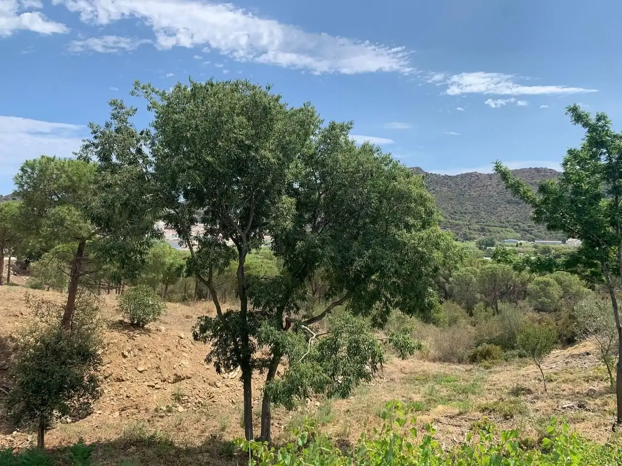Residential land for sale in GIV-6121, imagen 7