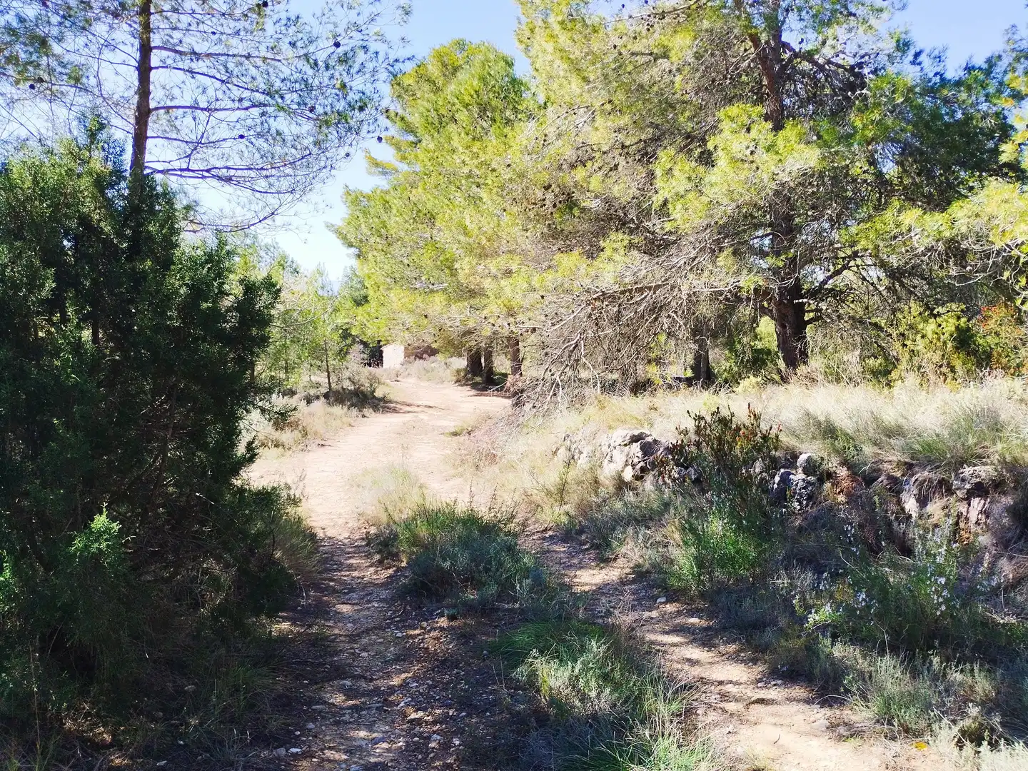 Terreno en venta en La Morera de Montsant