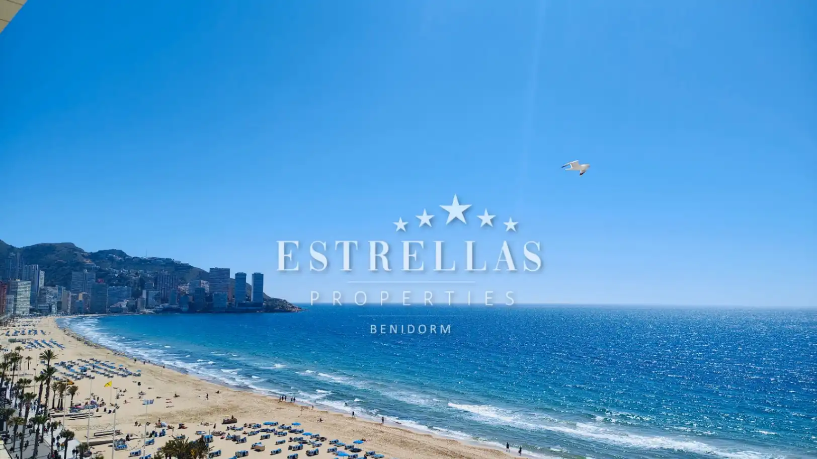 Apartamento con terraza en venta en Playa de Levante, imagen 7