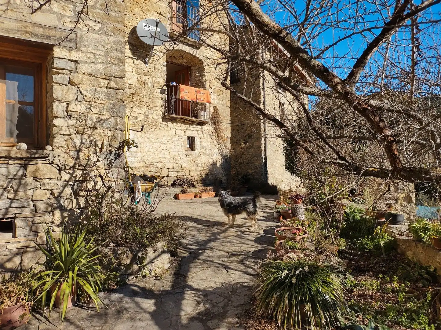 Vista exterior de Casa o chalet en venta en San Miguel del Cinca