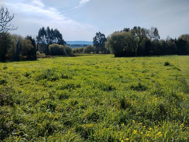 Terreno residencial en Venta en A Malata - Catabois - Ciudad Jardín