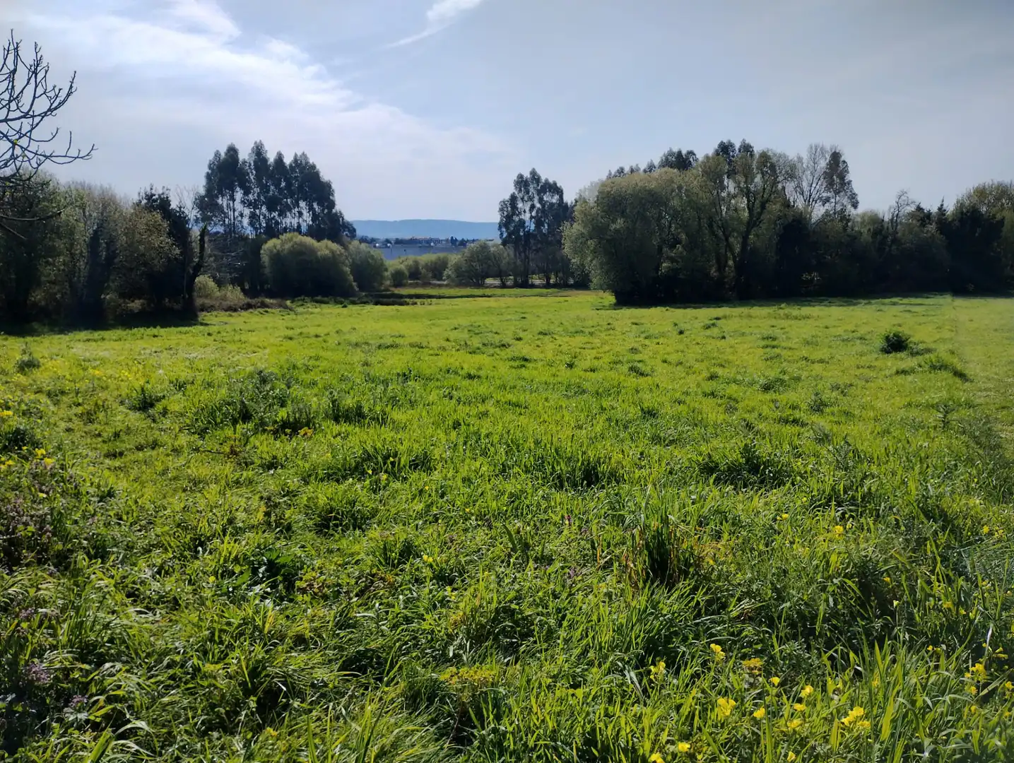 Terreni e lotti in vendita a A Malata - Catabois - Ciudad Jardín