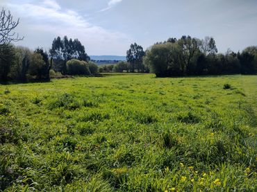 Terreno residenziale in vendita a A Malata - Catabois - Ciudad Jardín