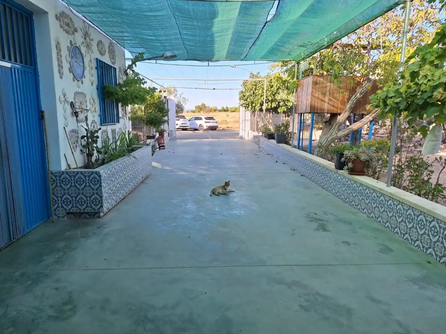 Vista exterior de Finca rústica en venta en Villena con Terraza y Piscina