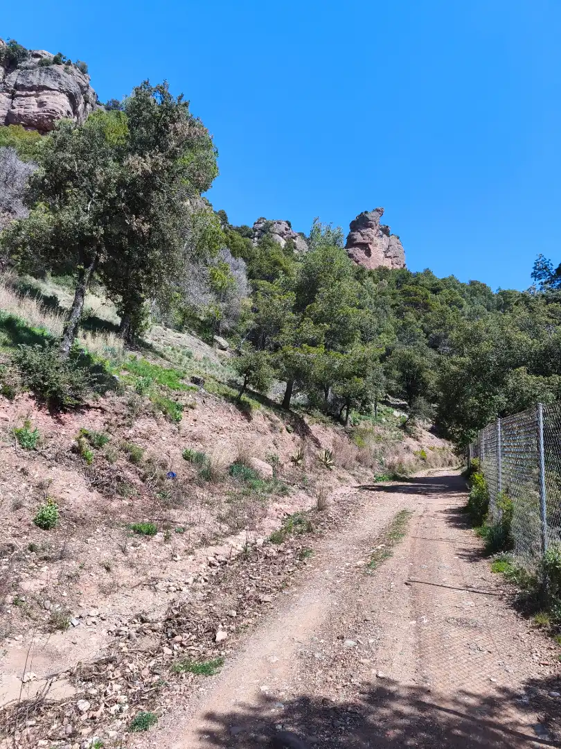 Terrain résidentiel à vendre à Carrer de la Font del Querol 19, imagen 4