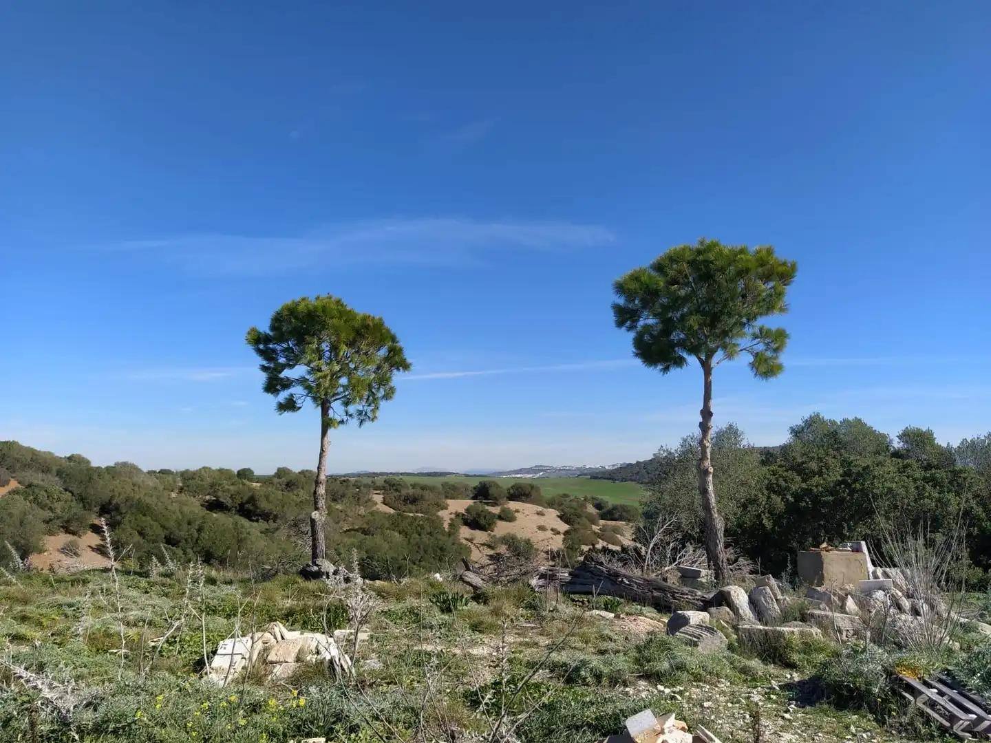 Terreny residencial en venda a Medina Sidonia, imagen 12