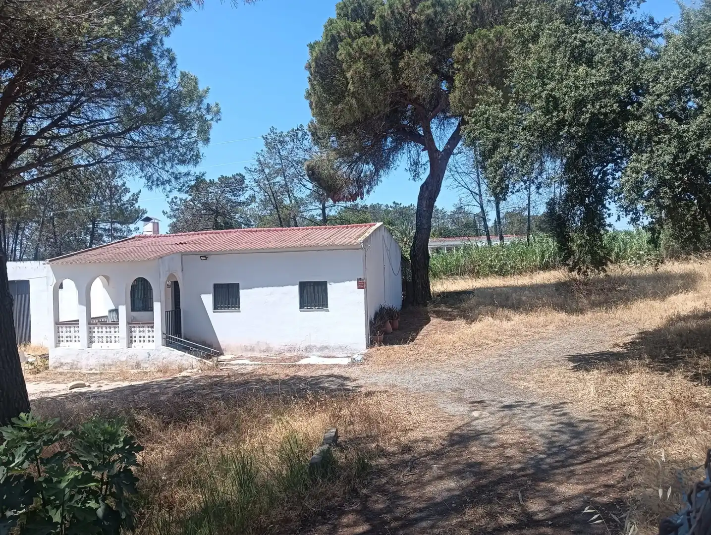 Maison rustique à vendre à Carretera Gibraleón