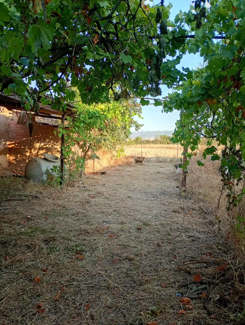 Grundstücke und Bauplätze zum Verkauf in Periurbano Este - Campiña