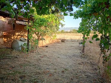 Terreno rústico en venta en Periurbano Este - Campiña