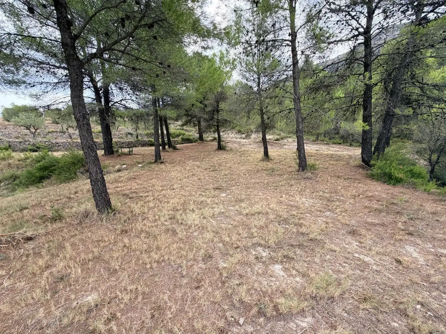 Residencial en venta en Fageca, Alicante