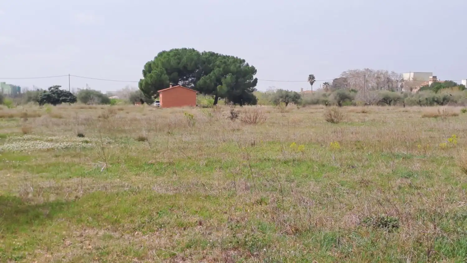 Finca rústica en venta en Constantí