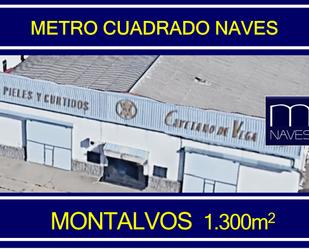 Nau industrial de lloguer a Calle de Nobel, 105, San José - El Montalvo