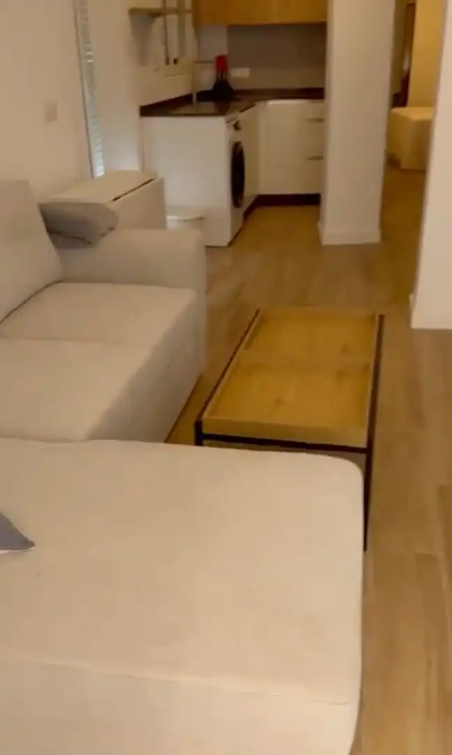 Sala d'estar de Apartament de lloguer en Fuengirola amb Terrassa i Moblat