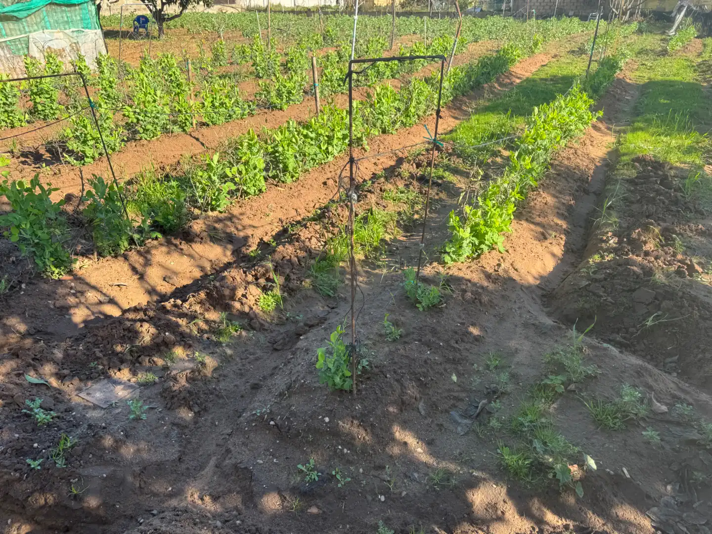 Country homes for sale in Sanlúcar de Barrameda  with Private garden, Terrace and Storage room