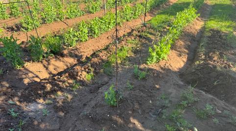Foto 4 de Finca rústica en venda a Camino del Moral, 3, La Jara, Sanlúcar de Barrameda