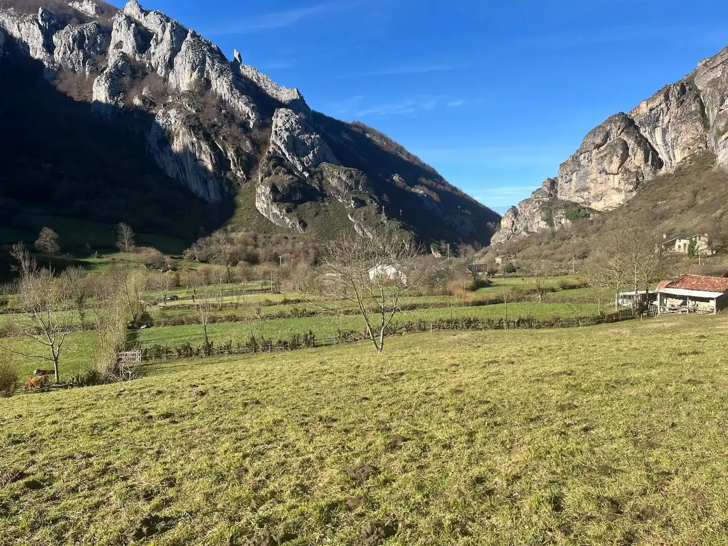 Exterior view of Land for sale in Aller