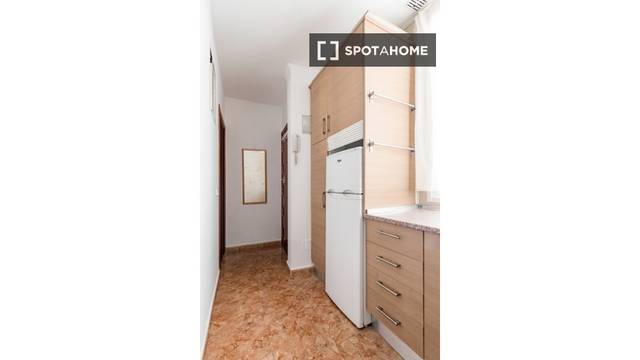 Piso en Alquiler en Embajadores - Lavapiés