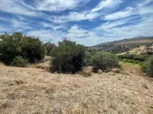 Land for sale in Monda