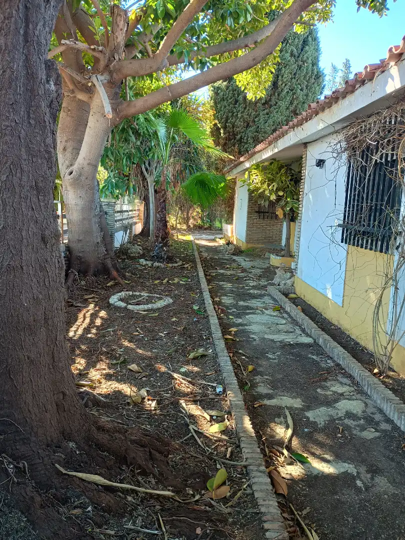 Casa o chalet en venta en Ramal de Espartinas