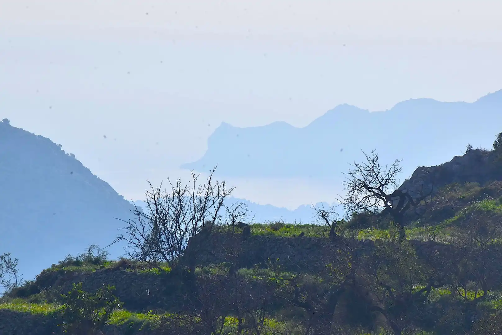 Finca rústica en venda a Tàrbena