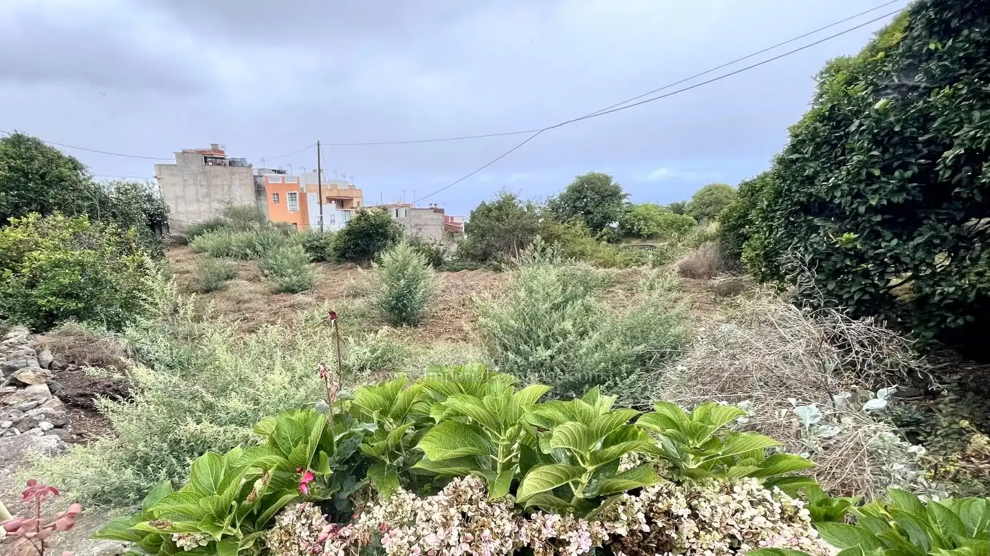 Finca rústica en venta en La Orotava