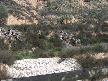 Terreno rustico in vendita a Pliego