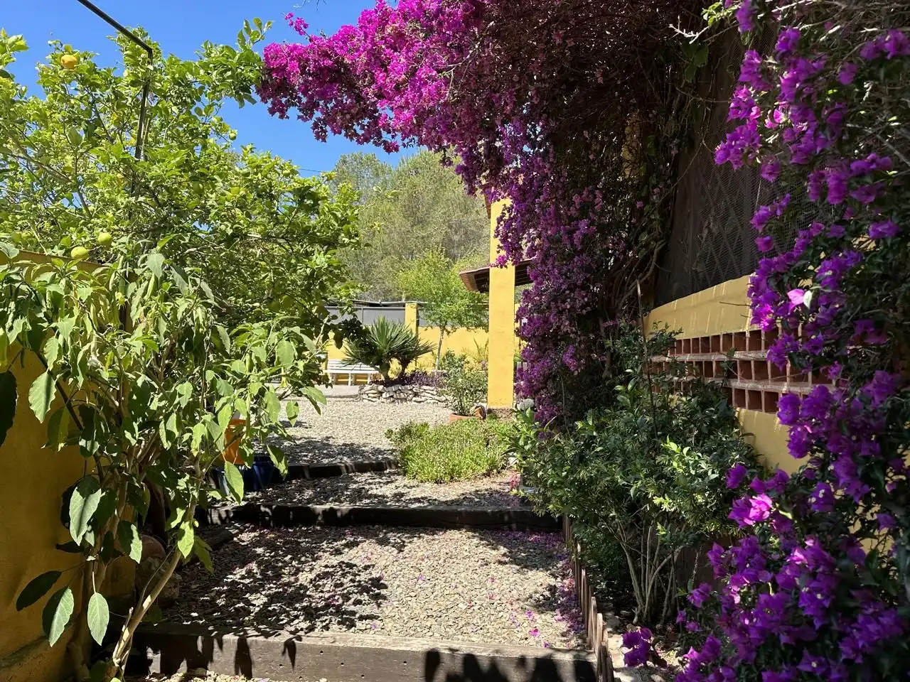 Garden of Houses for sale in El Catllar   with Private garden, Terrace and Storage room
