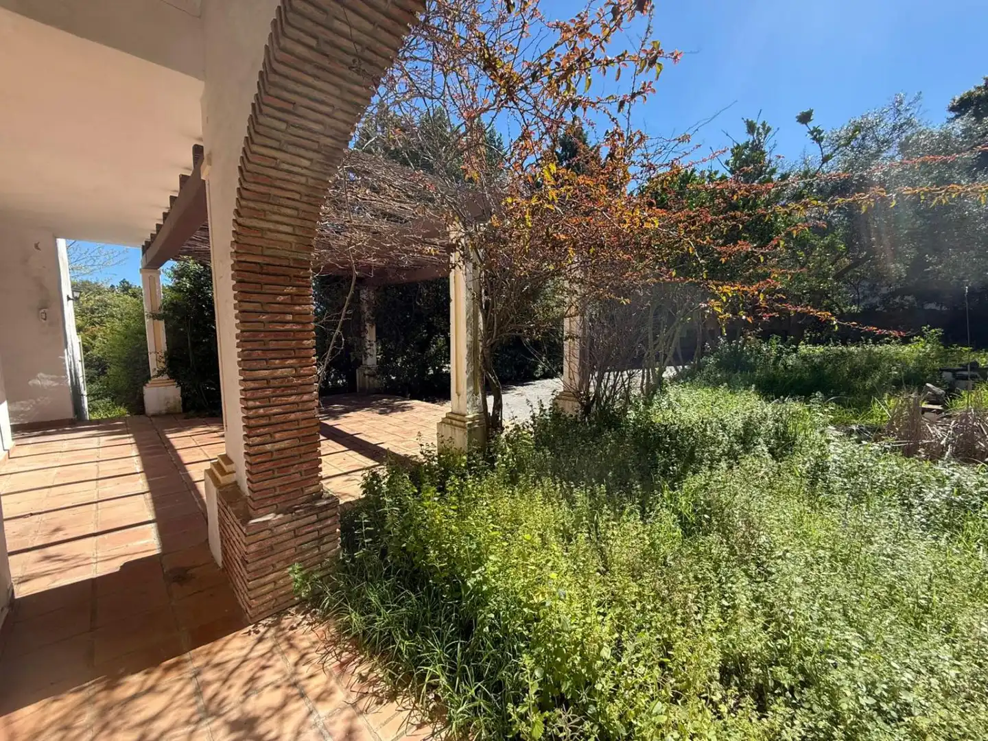 Garden of Houses for sale in Benalup-Casas Viejas  with Heating, Private garden and Terrace