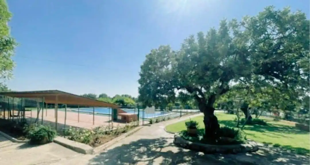 Villa à vendre à Borriol, imagen 24