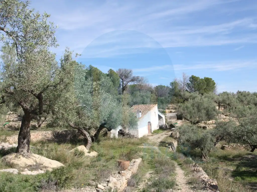 Country homes for sale in El Perelló, Tarragona