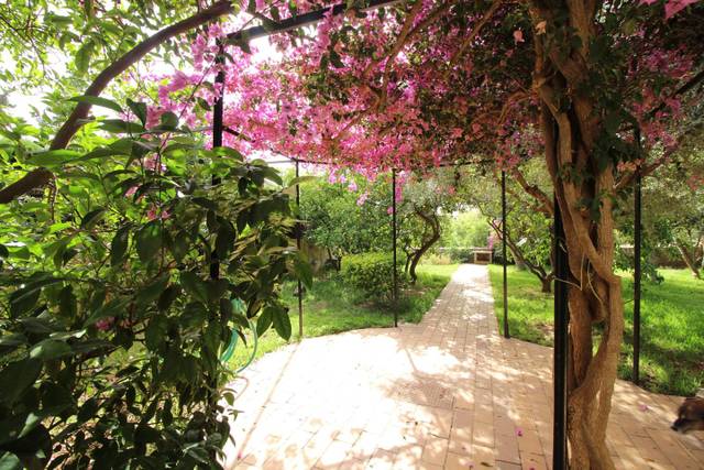 Casa-chalet en Venta en carrer de Victòria Ramis d'Ayreflor en Son Flor - Son Moix