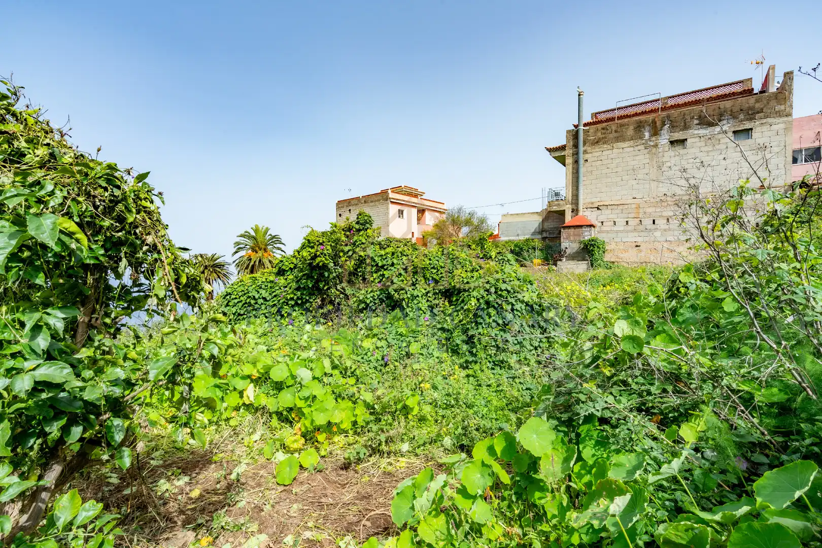 Finca rústica en venda en La Victoria de Acentejo