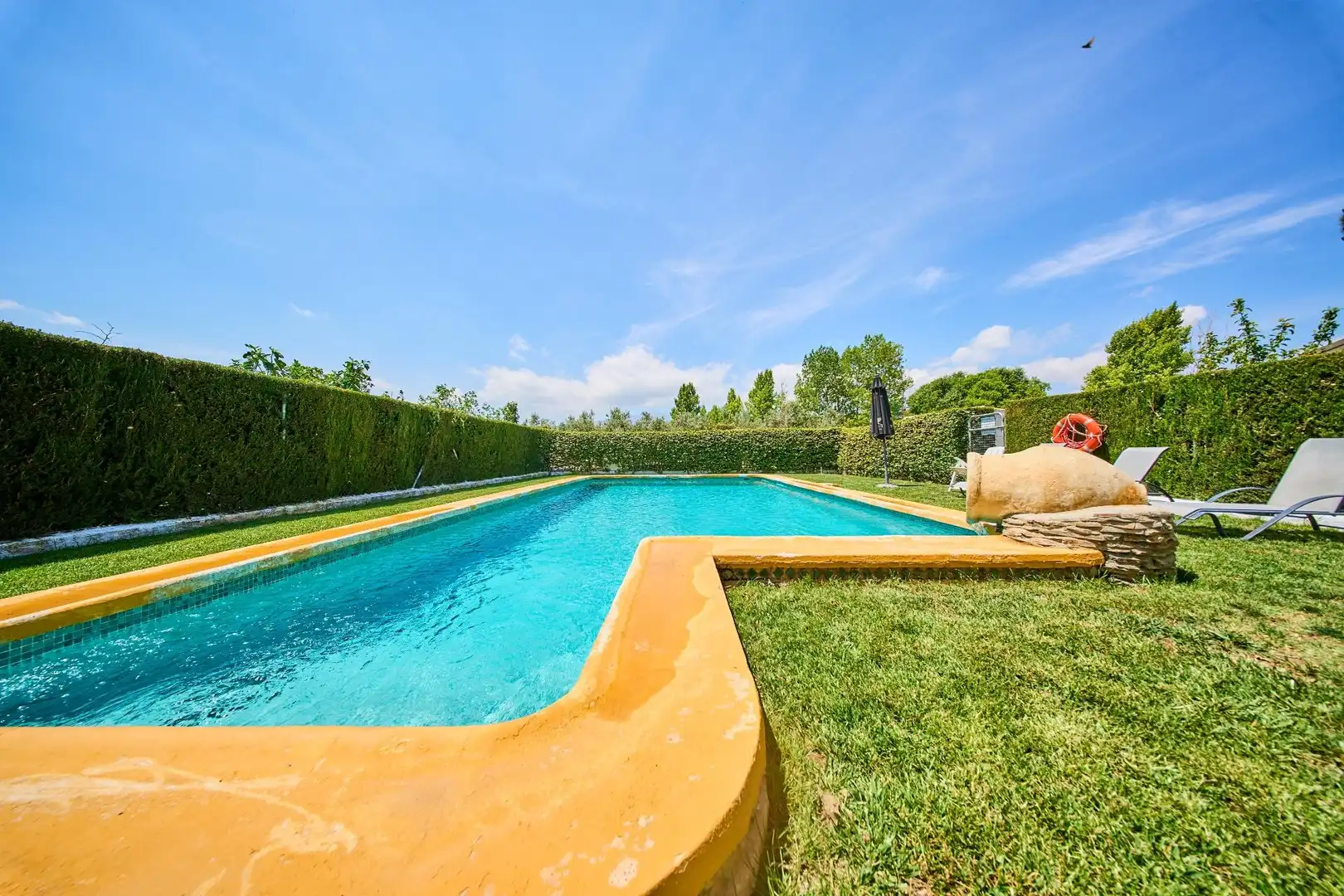 Piscina de Finca rústica en venta en Caniles
