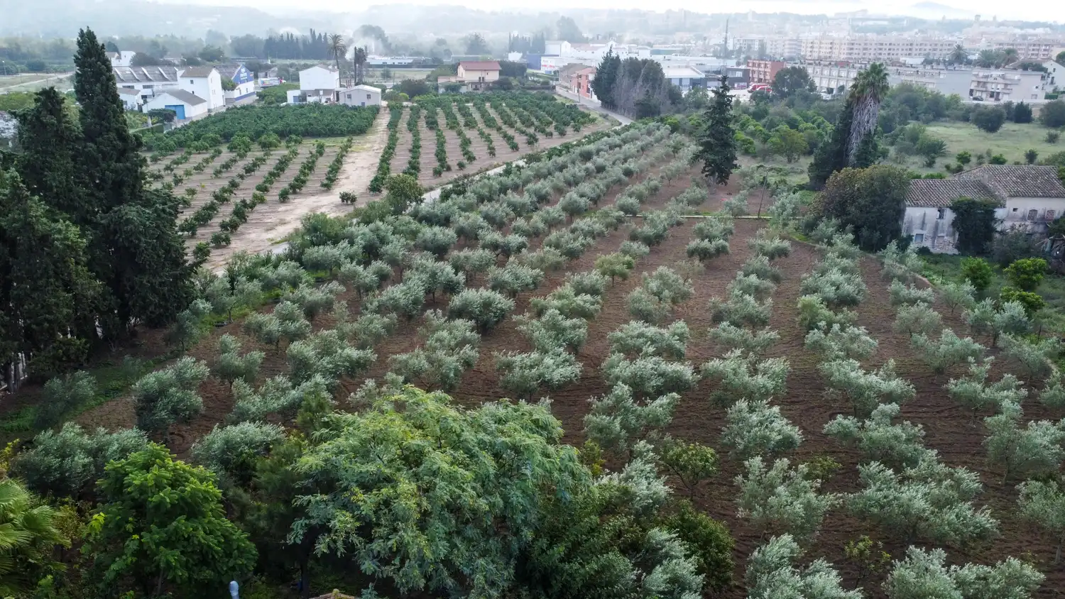 Terreny rústic en venda a Camí del Lloron de Tortosa 28, imagen 19