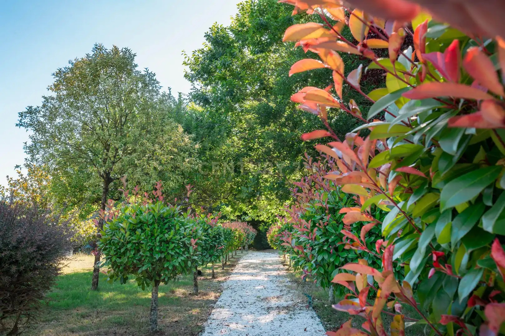 Jardí de Edifici en venda en Frades