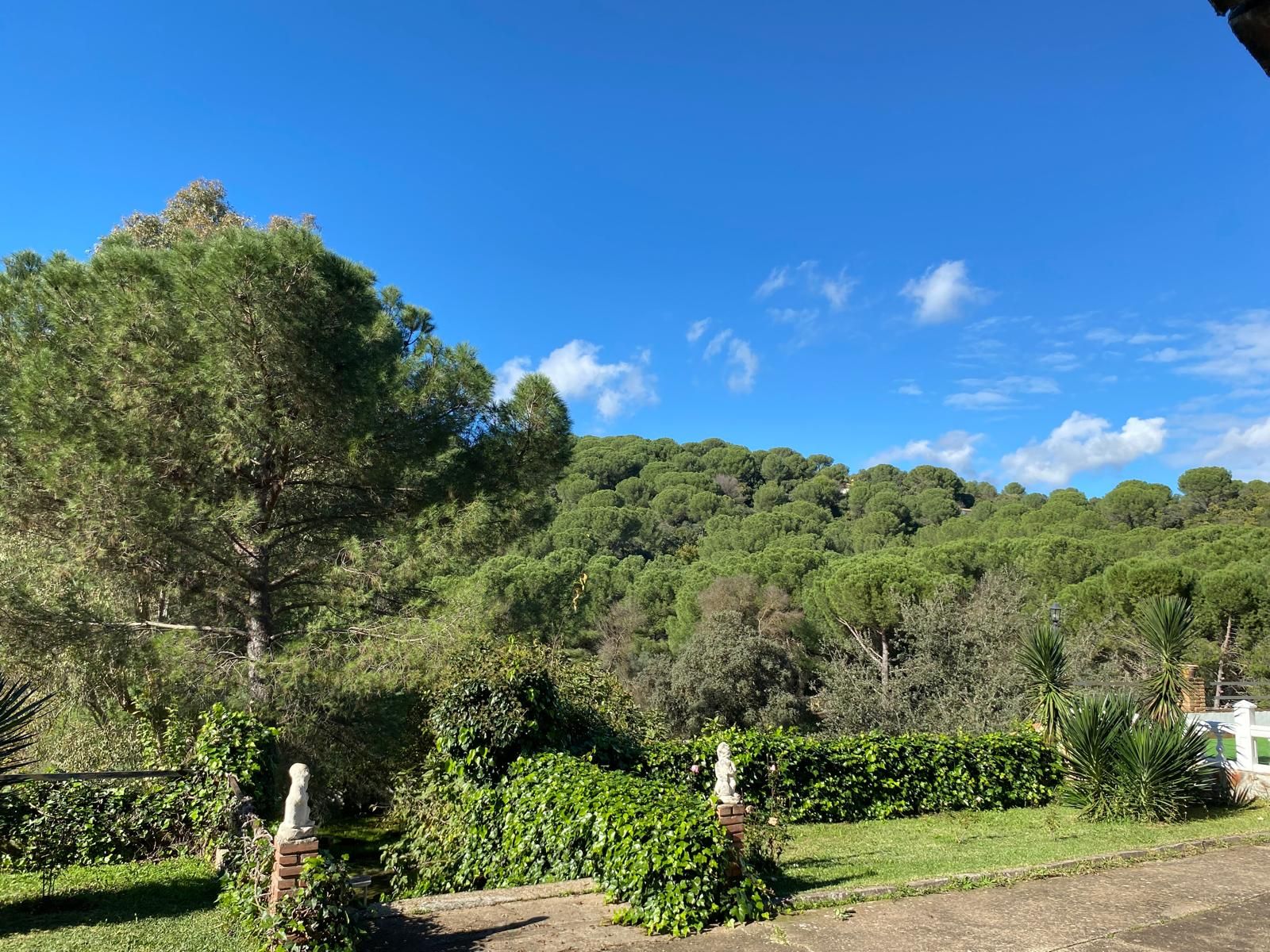 Jardí de Casa o xalet en venda en  Córdoba Capital amb Jardí privat, Terrassa i Traster
