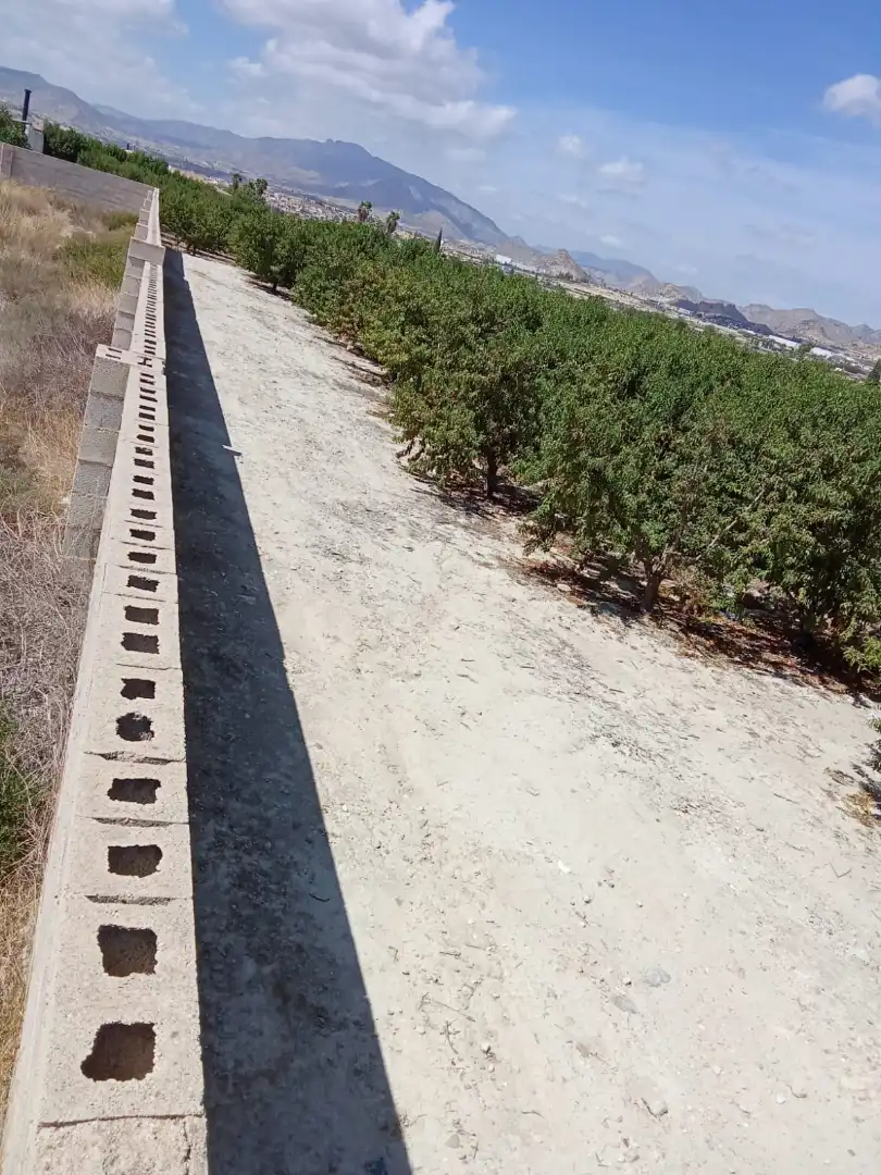 Xalet en venda a Lorquí, imagen 3