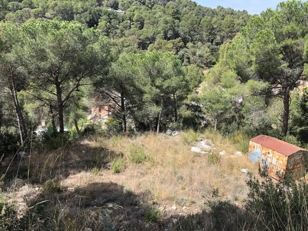 Terrain rustique à vendre à COLLBLANCH, imagen 4