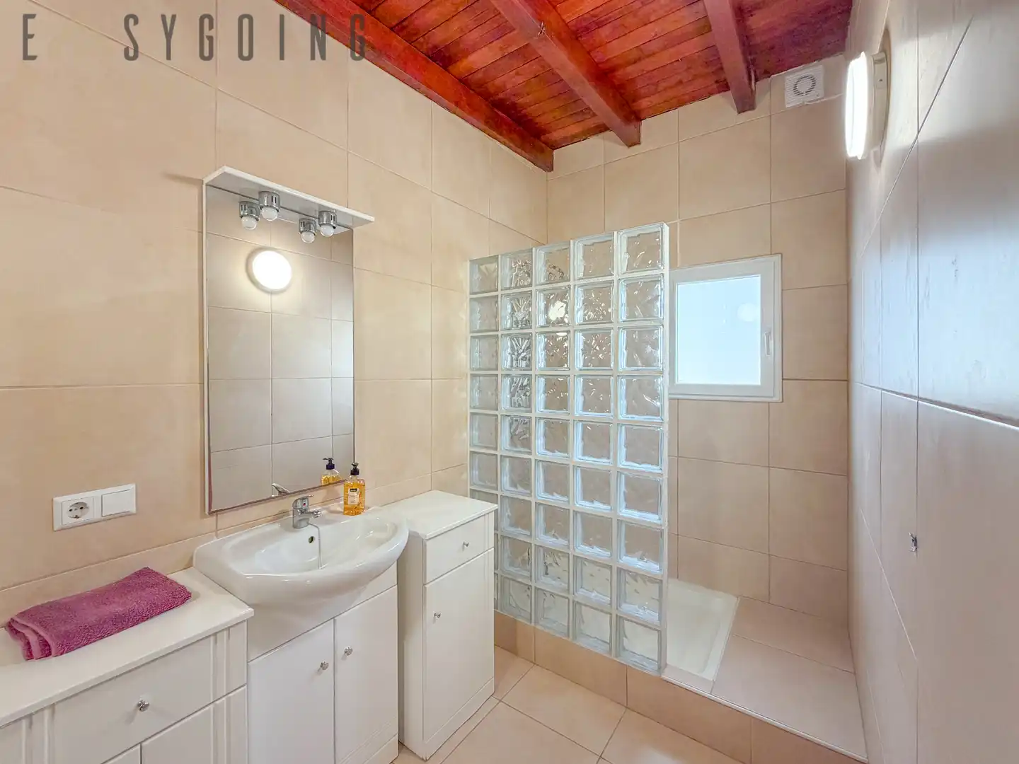 Villa con terrazza in vendita a Catral, imagen 60