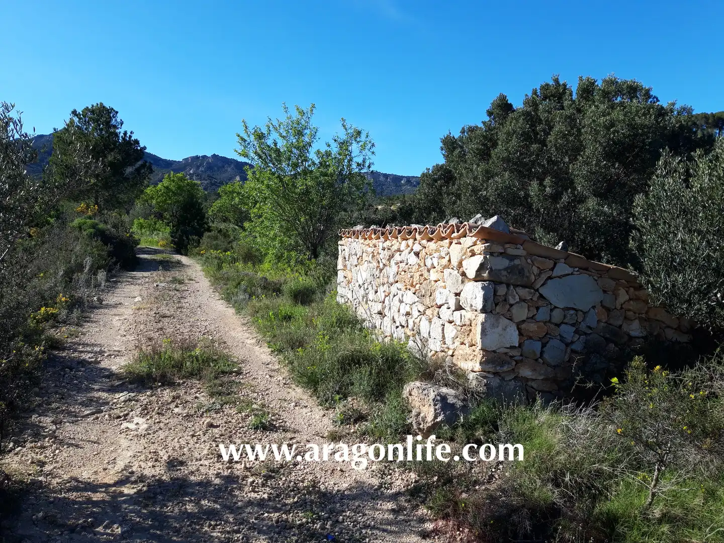 Rural land for sale in C-43, imagen 15