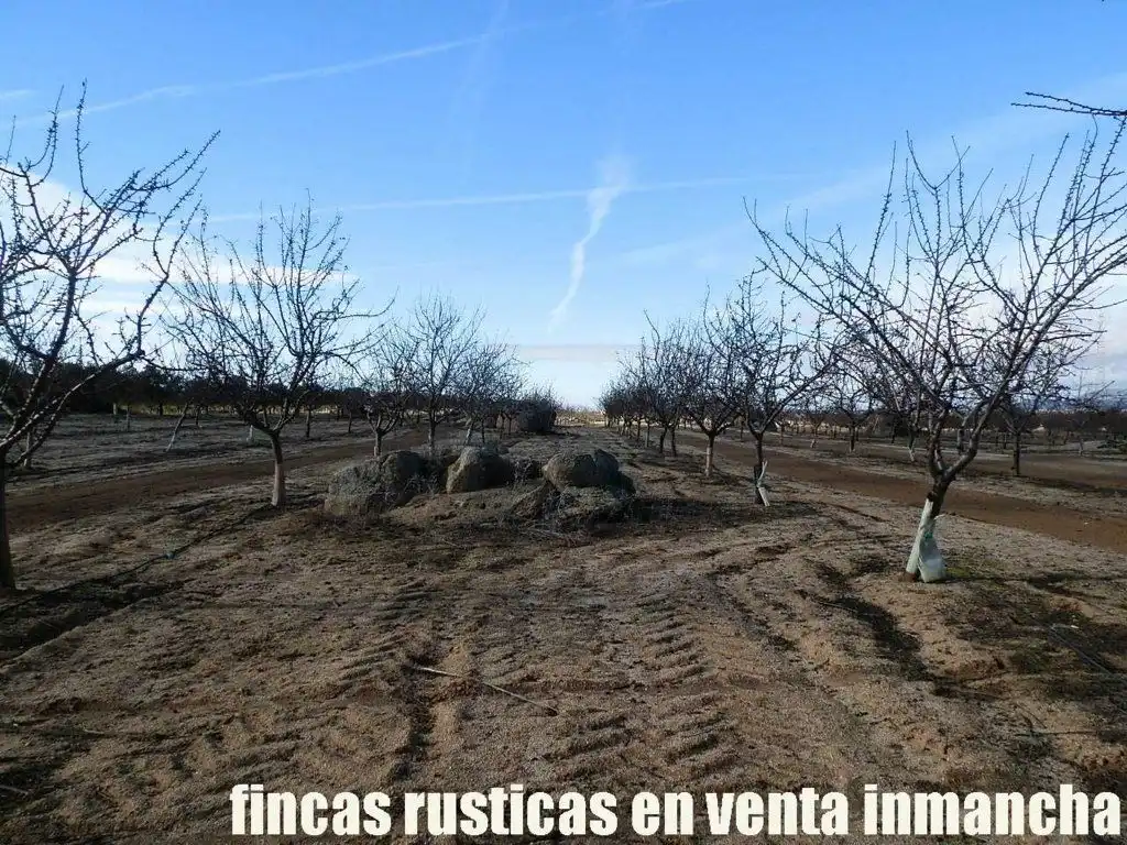 Terreno en venta en Mora