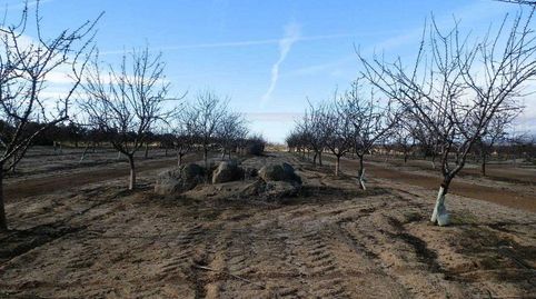 finca en venta almendros olivar viña regadío en Toledo, immagine 2