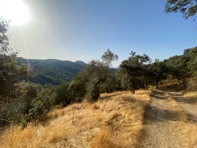 Terrenos y solares en venta en La Nava, imagen 13