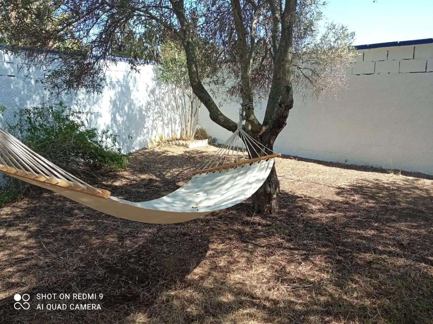 Houses for rent in Camino de Montealto, Las Lagunas - Campano