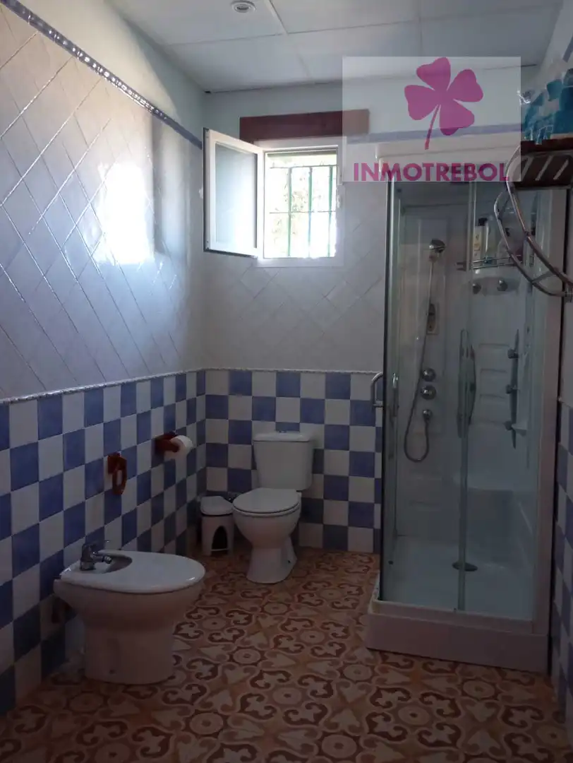 Bany de Casa o xalet en venda en Carrión de los Céspedes amb Jardí privat, Parquet i Piscina